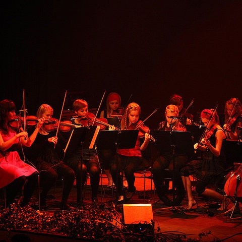 Strengjasveít Tónlistarskólans á Akureyri