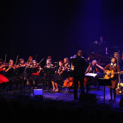 Strengjasveit Tónak