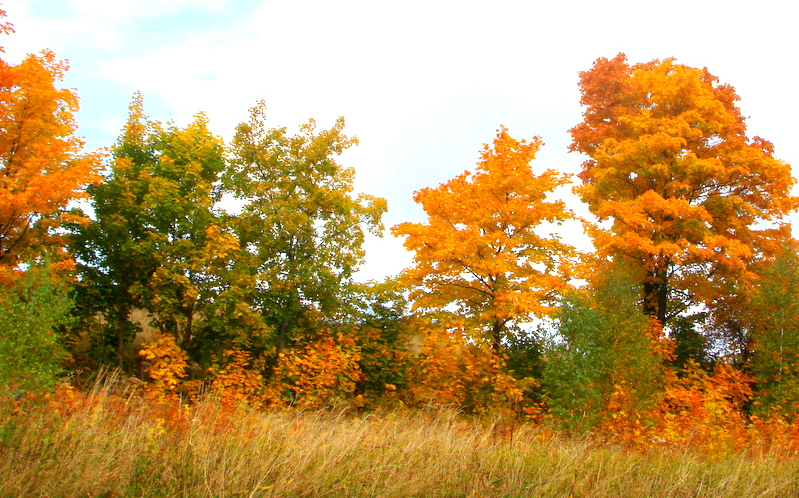 Haustfrí og uppbrotsdagur