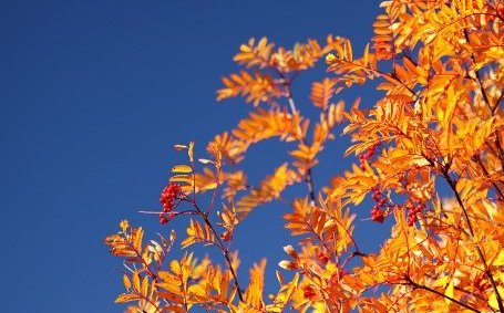 Miðvikudagstónleikar taka á sprett