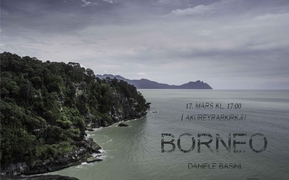 Borneo - Tónleikar