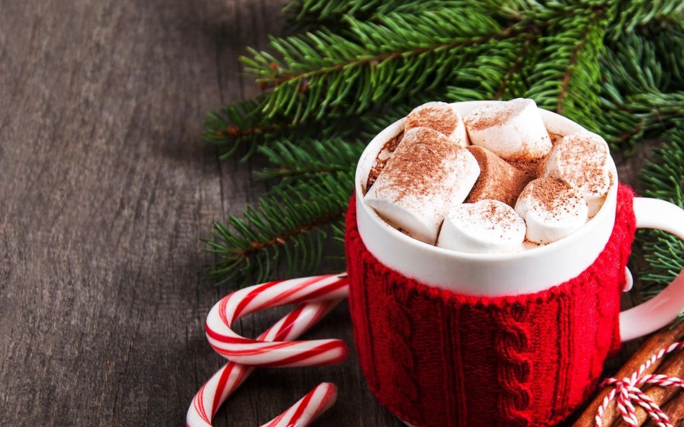 JÓLALEGUR TRÉBLÁSTUR