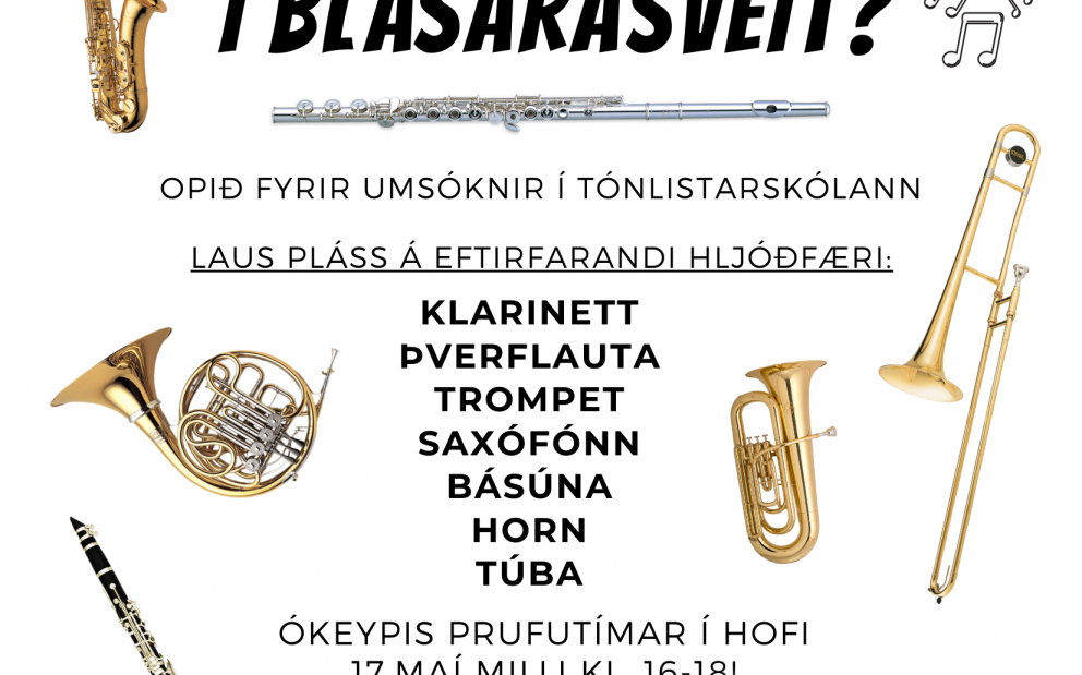 Hljóðfærakynningar