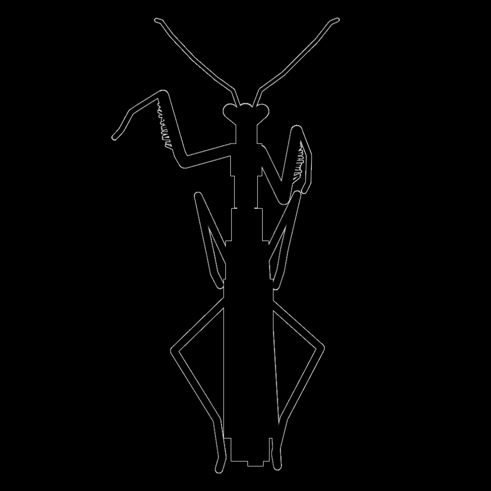 Nýtt lag frá Miomantis